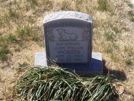 John William Wickizer John William Wickizer