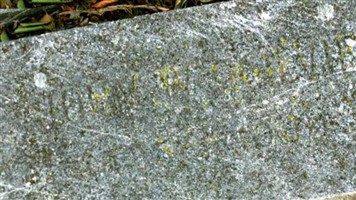 John Winstead Ogilvie, Sr John Winstead Ogilvie, Sr