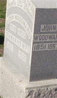 John Woodward