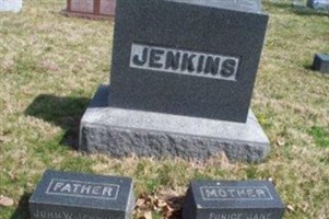 John Woodward Jenkins John Woodward Jenkins