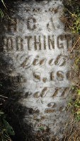 John Worthington