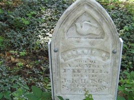 Johnnie A. Favell Johnnie A. Favell