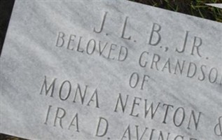 Johnny L Bates, Jr