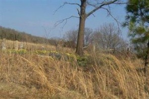 Johnson Cemetery