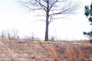 Johnson Cemetery
