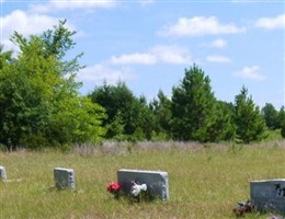 Johnson Cemetery Johnson Cemetery