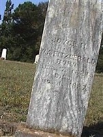 Joicey Ann Hanks Fitzgerald