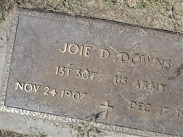 Joie D. Downs Joie D. Downs