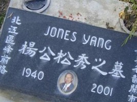 Jones Yang Jones Yang