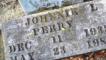Jonnie Lee Perry