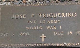 Jose F Trigueriro Jose F Trigueriro