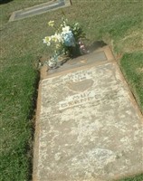 Jose Luis Cuevas