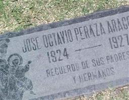 Jose Octavio Peraza Aragon