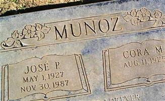 Jose P. Munoz