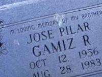 Jose Pilar Gamiz R