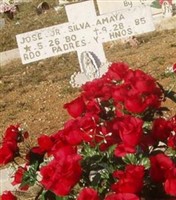 Jose Silva Amaya, Jr