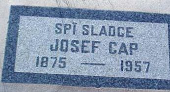 Josef Cap (2401076.jpg)