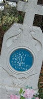 Josefa Pasterska Wietrzykowski (1888707.jpg) Josefa Pasterska Wietrzykowski (1888707.jpg)