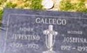 Josefina Gallego Josefina Gallego