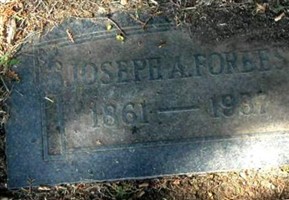 Joseph A Forbes Joseph A Forbes