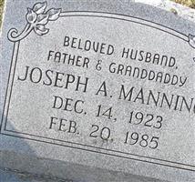 Joseph Adrian Manning