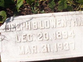 Joseph B Lowenthal