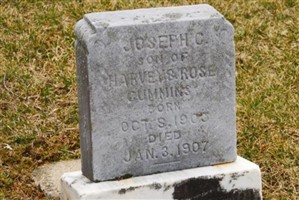 Joseph C Cummins
