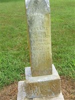 Joseph C Fields