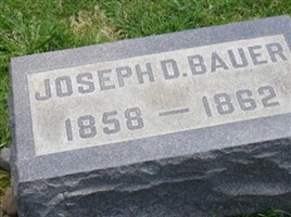 Joseph D Bauer Joseph D Bauer