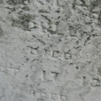 Joseph Dull