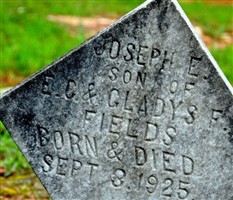 Joseph E. Fields
