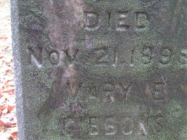 Joseph G Fowler Joseph G Fowler