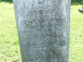 Joseph H Crisp