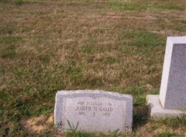 Joseph H Gallo