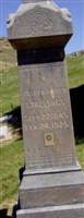 Joseph Heber Stallings, Sr