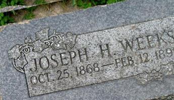 Joseph Henry Weeks
