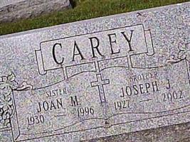 Joseph J Carey