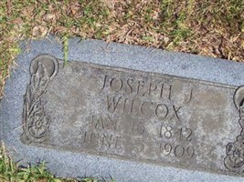 Joseph J Wilcox