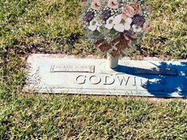 Joseph James Godwin