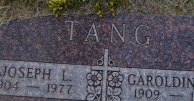 Joseph L Tang Joseph L Tang