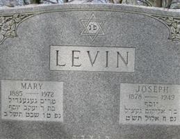 Joseph Levin