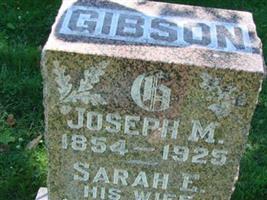 Joseph M Gibson