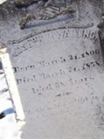 Joseph M Walling Joseph M Walling