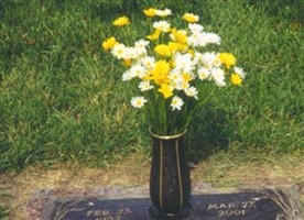 Joseph Quinn Fields