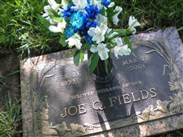 Joseph Quinn Fields