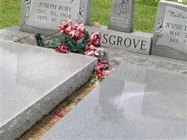 Joseph Ruby Musgrove Joseph Ruby Musgrove