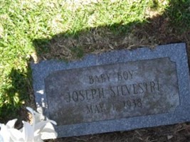 Joseph Silvestri Joseph Silvestri