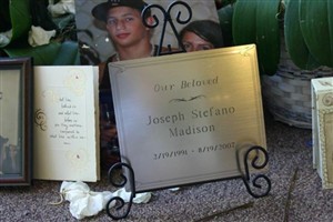 Joseph Stefano Madison Joseph Stefano Madison