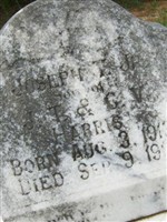 Joseph T. Harris, Jr