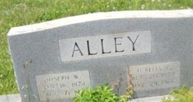 Joseph W Alley